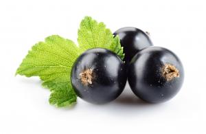 Black currant frozen