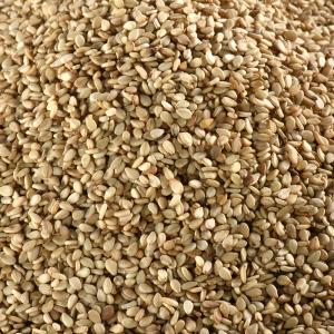 Organic whole sesame seeds