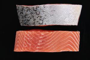 Fresh Atlantic Salmon Portion, with skin