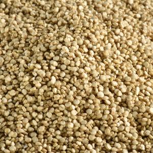 Organic white quinoa