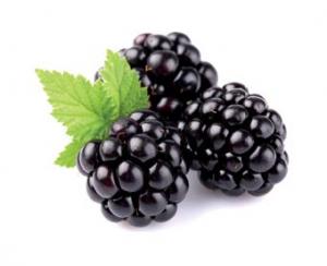 IQF Organic Blackberry