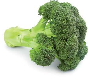 IQF Broccoli