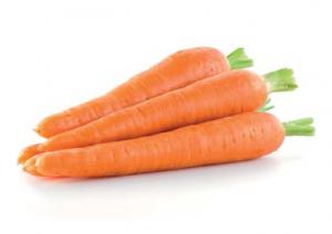 IQF Carrots