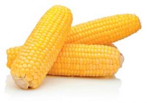 IQF Corn