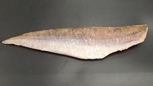 Hake Fillet IQF