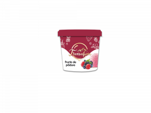 TRANSALPINA BERRIES ICE CREAM WITH BERRY SAUCE & DECORATION