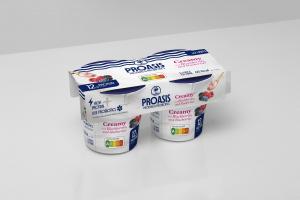 Creamy Yogurt with Berries with PROteins and PRObiotics 2x125g
