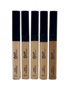 Concealer stick