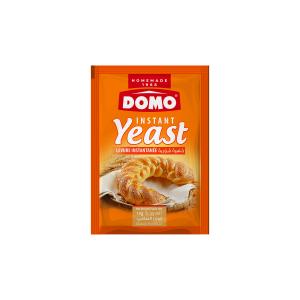 INSTANT YEAST 10G