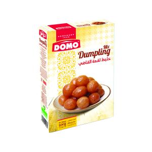 DUMPLING MIX 500G