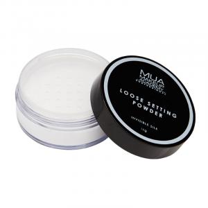 PROFESSIONAL LOOSE SETTING POWDER - INVISIBLE SILK