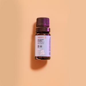 BASIL ESSENTIAL OIL 10ML