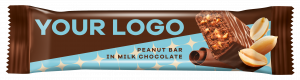 PEANUT BAR in MILK CHOCOLATE