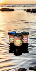 AmberFish  PINK SALMON