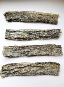 Marine FLATS for Tail-Wagging Joy