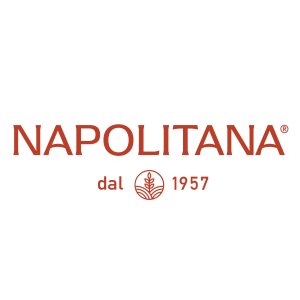 WHEAT FLOUR TYPE 65 1 kg NAPOLITANA
