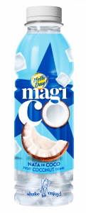 Hello Day! Magico Coconut 500 ml