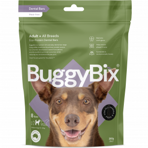 BuggyBix Eco-Protein Dental Bars (Medium Dog)