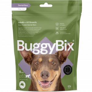 BuggyBix Eco-Protein Dental Bars (Large Dog)
