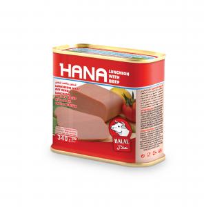 HANA Chicken and Beef Luncheon