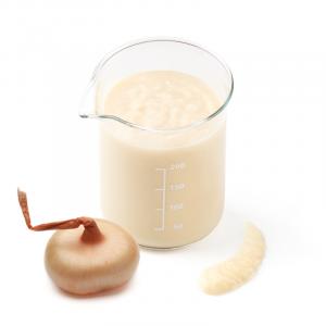Onion puree
