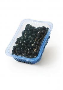 Periwinkles - MAP / Retail