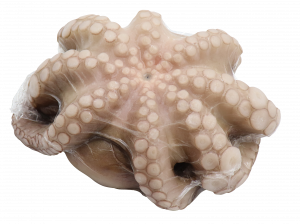 Octopus flower vacuum