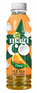 Hello Day! Magico Green Ice Tea Citrus 500 ml