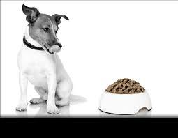 Dry cold pressed dog food