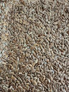 Flax Seeds