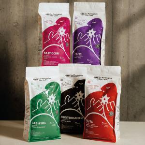 Roasted Coffee Beans