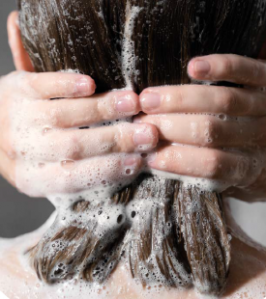Hair Care (shampoos, conditioners, masks)