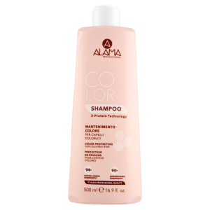 COLOR SHAMPOO 500ML