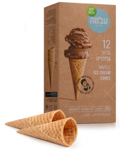 Gluten free wafer ice cream cones