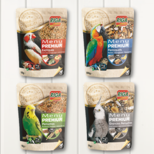 Bird Food