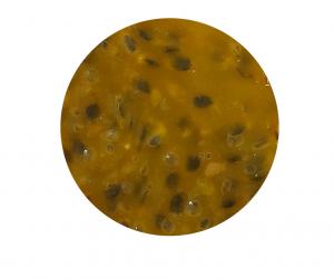 FROZEN PASSION FRUIT PULP