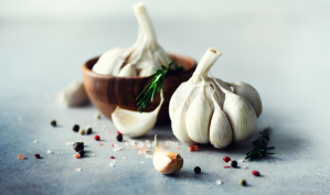 Tenshindo`s Original Raw Material Named Heated Fermented Garlic Powder can be used for your Private Label