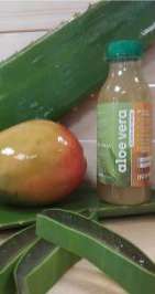 Organic aloe vera  refreshing beverage  with MANGO JUICE 