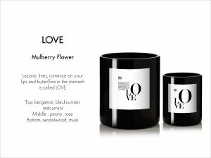 Standard Candle Didier Lab, LOVE