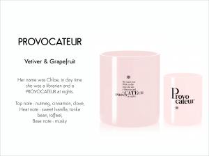 Standard Candle Didier Lab, PROVOCATEUR