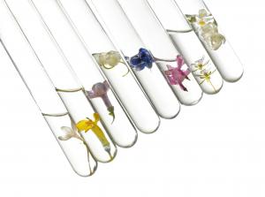 100% NATURAL MAKE UP AND SKIN CARE RANGE