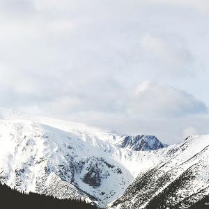 Face mask with charcoal (Copy)
