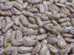Light Speckled Kidney Beans      RC-DKB-003