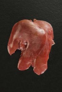 Smoked Ham, Chicken burger, Ginger and chocolate sauce....