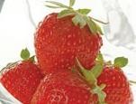 IQF Strawberry