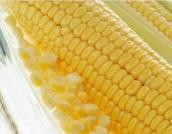 IQF Sweet Corn