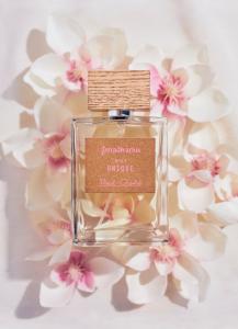 Stradivarius Essentials The Collection (Unique) EDT 