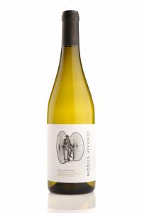 MODUS VIVENDI RIBEIRO