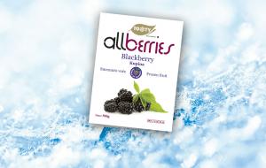 Frozen Bag Blackberry