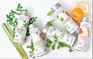 Silkenty - Wellness Tea - Tea Bags & Loose Tea